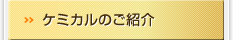 ケミカルのご紹介